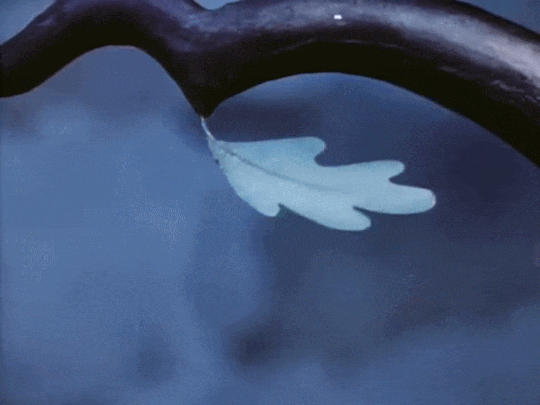 tumblr_oa9y5xrorl1qj7kyho1_540.gif