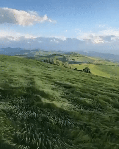 original_08c2d09448974684ab499f428885a6c1.gif?1611673645?bc=0