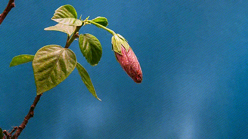 Animated GIF - Find & Share on GIPHY