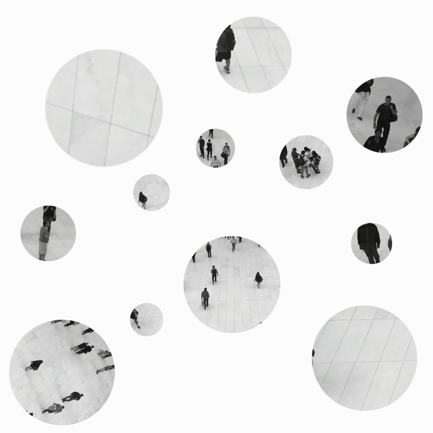 marko-jones-social-circle.gif