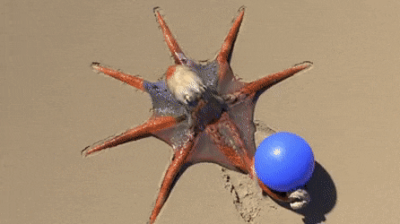 e9536af4-726a-41fc-94c2-a3365bc124d6 - Create, Discover and Share GIFs on Gfycat