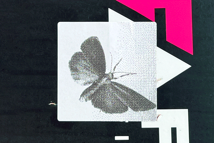 adrian_hanft_animator_moth-graffiti-animation-700x467px.gif