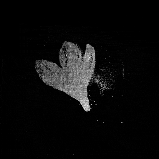 flower-500-500-iloveimg-compressed.gif