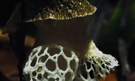 tumblr_ocdzsa0fwe1rjatglo2_r1_500.gif