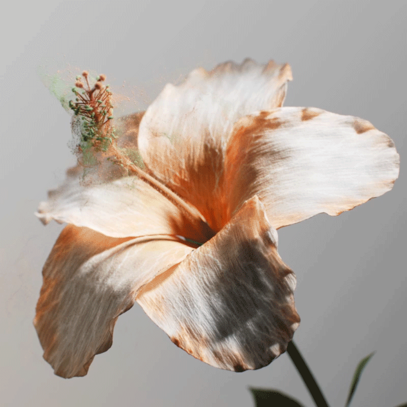 06e9db189472609.65abe7844f956.gif