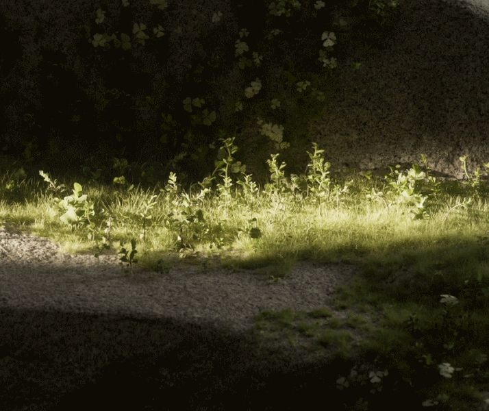 bca0a5167081097.647b82b47fe5c.gif
