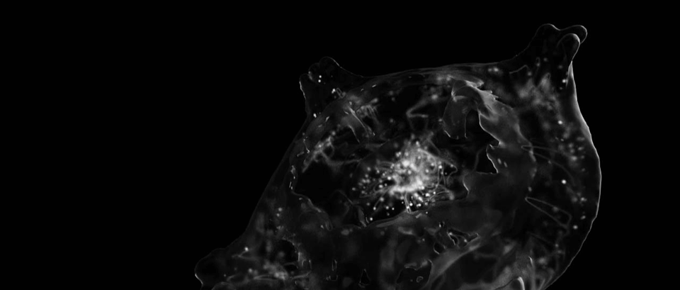 58b9250e-481d-43e2-8ec9-2a0d22a2c21d_rw_1200.gif?h=2cf43a94de96f6db34d9abe2fa93640c
