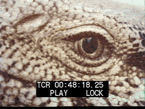 85aa63b6944ad3b177d1acba665e745f9980f845.gifv