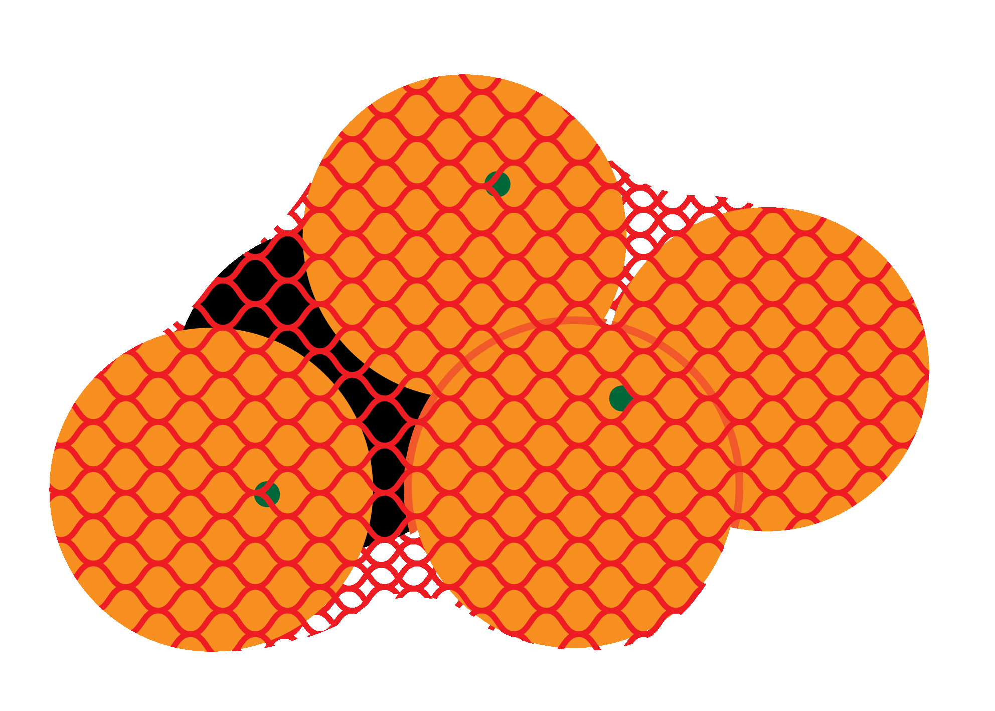 oranges.gif?format=2500w