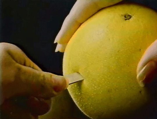 tumblr_p4vc4fe1q31tdhimpo2_540.gifv