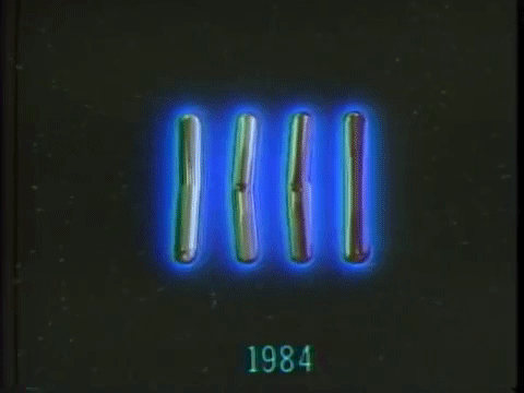 1984.gif