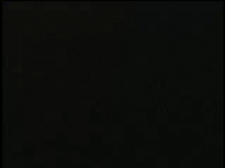 697cde7b71e4285506ced6629376a575.gif