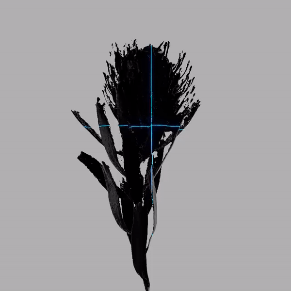5-fcb3015725.gif