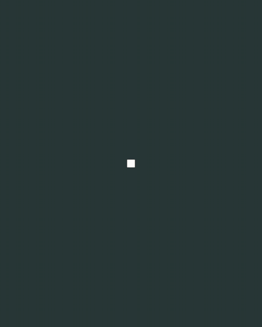 studio_kiln_1740138125_3572859700289114189_53093402881.gif