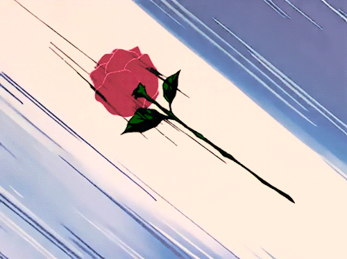 tumblr_otwb2xbsou1wu8bpdo1_500.gif