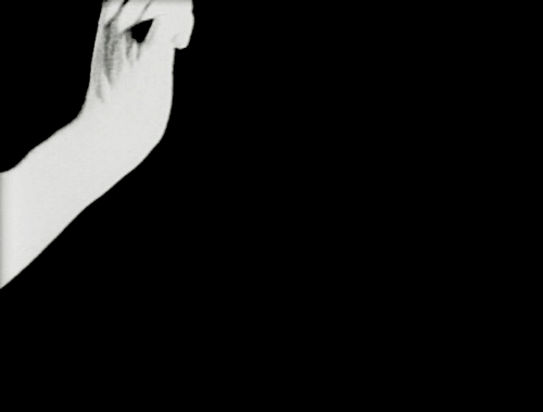 tumblr_nexumfzik31qefte6o1_500.gif