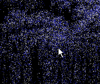 bogchat-1514346675279-fruitfly-looking4chese.gif