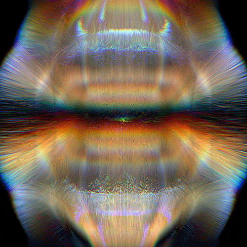 x6scock.gif