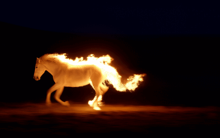 gghorse burn one