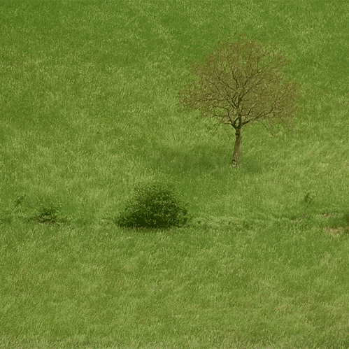 tumblr_mg6mhvbW4E1qhoqnso1_500.gif